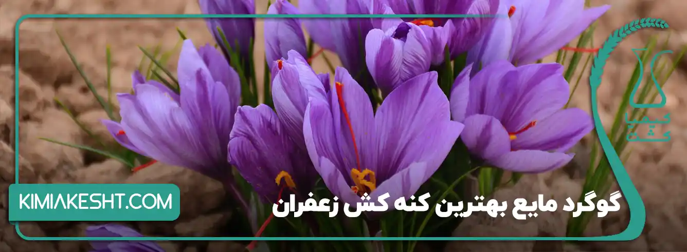 قارچ کش و کنه کش زعفران - ۳. بهبود ویژگی‌های خاک