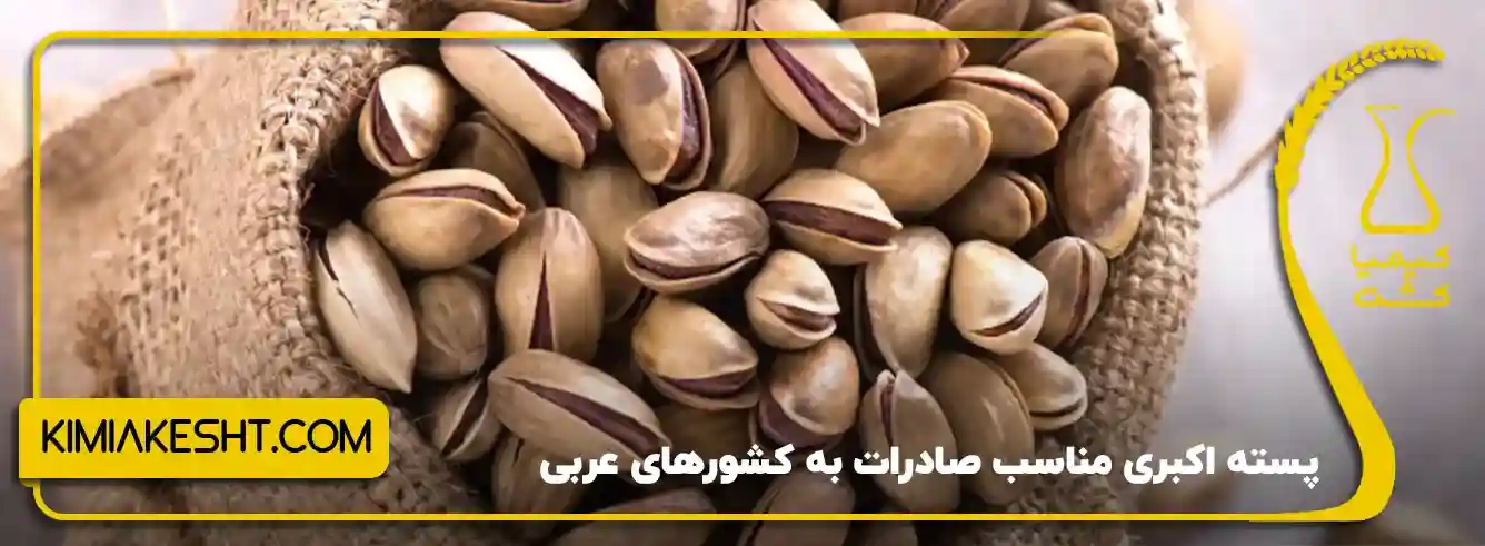 پسته اکبری مناسب صادرات