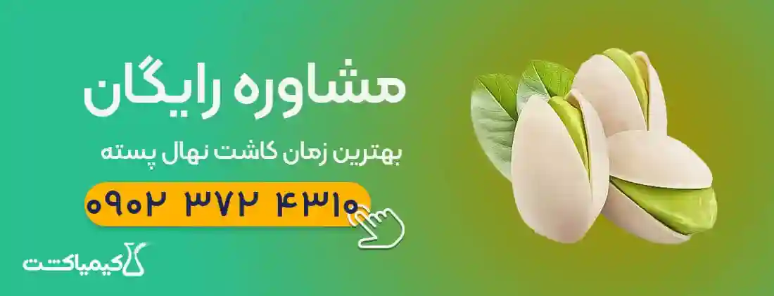 مشاوره-کاشت-پسته