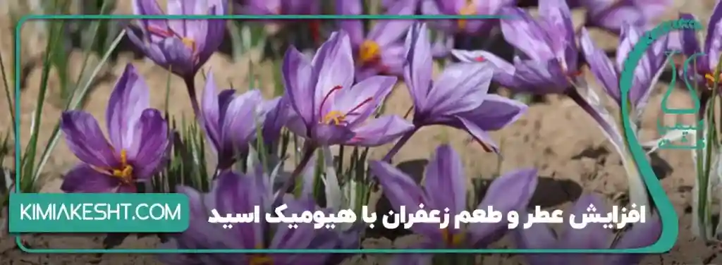 افزایش تعداد گل