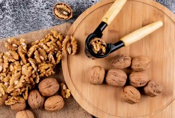 نحوه انجام صحیح چالکود درخت گردو - تغذیه درخت گردو در زمستان