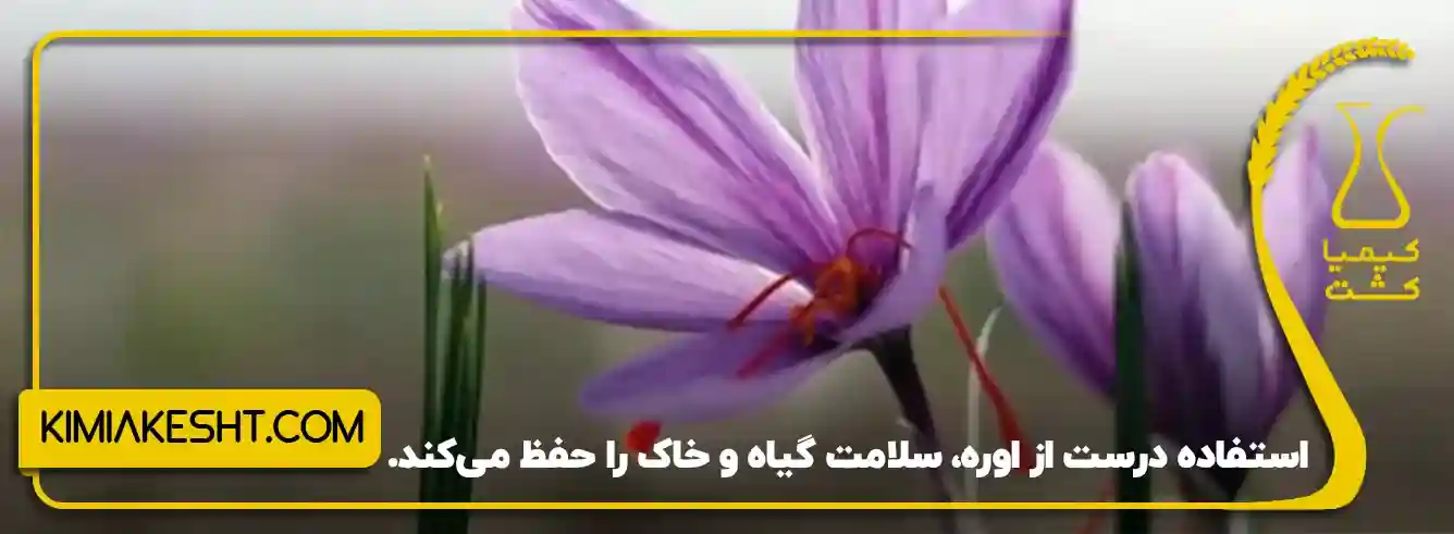 استفاده درست از اوره سلامت گیاه و خاک را حفظ می کند