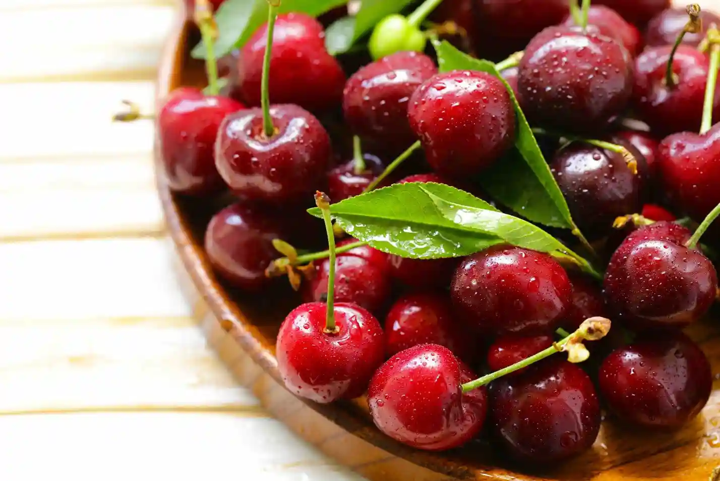 همه چیز درباره درخت گیلاس