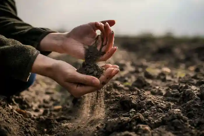 اصلاح خاک های قلیایی