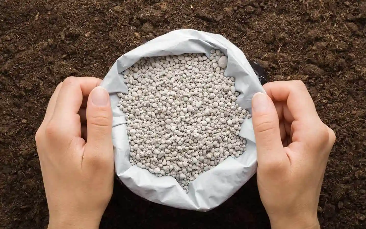 بهترین کود برای درشتی پیاز - بهترین کود برای درشت شدن پیاز