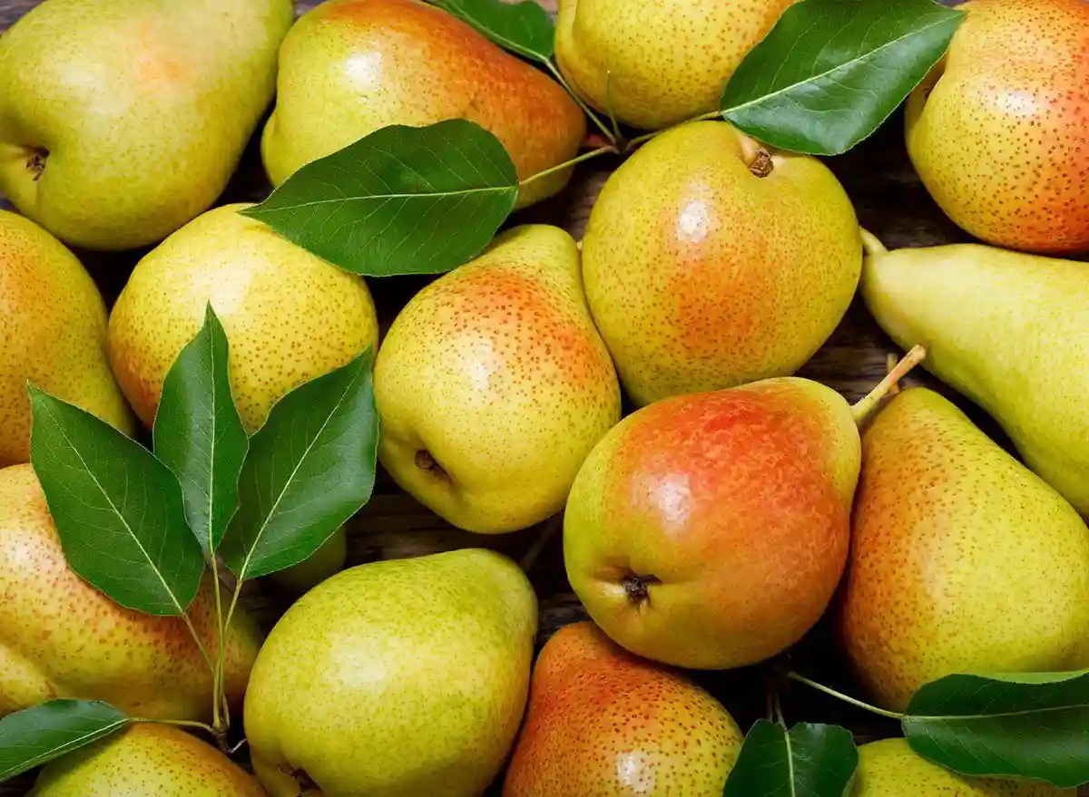 همه چیز درباره گلابی
