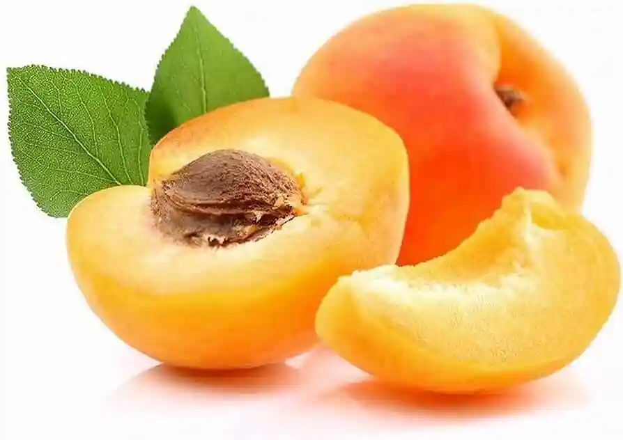 طریقه مصرف و میزان کوددهی زردآلو