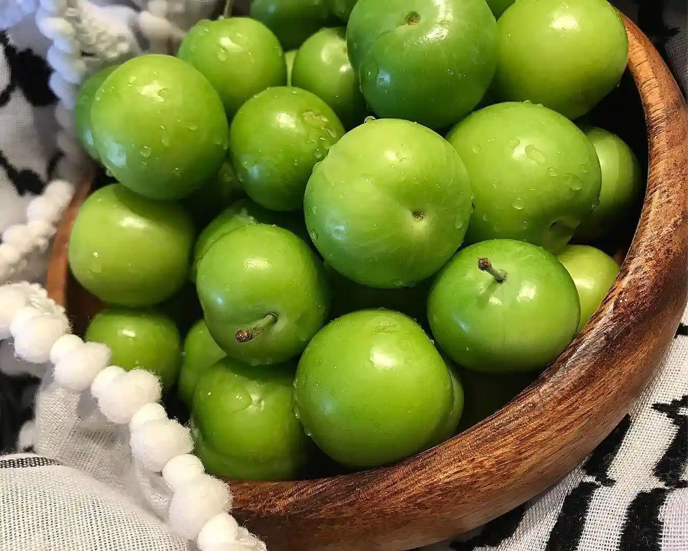 قیمت کود برای درخت گوجه سبز