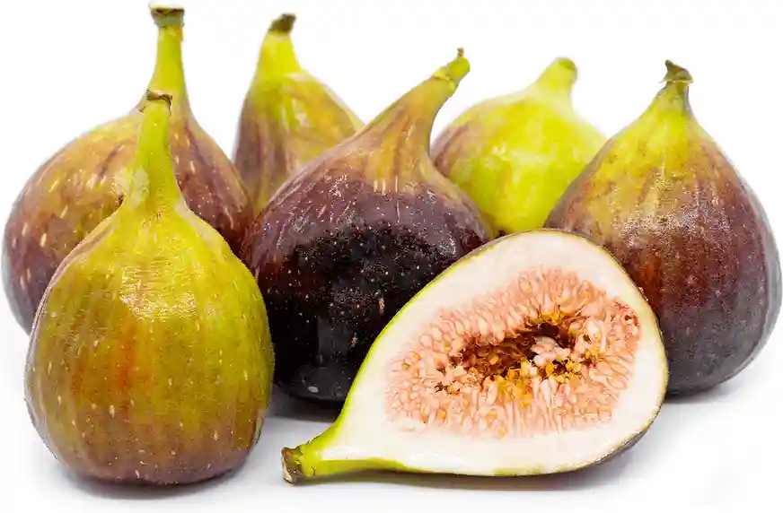 بهترین کود برای رشد درخت انجیر