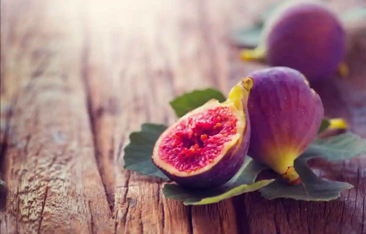 بهترین کود برای درخت انجیر