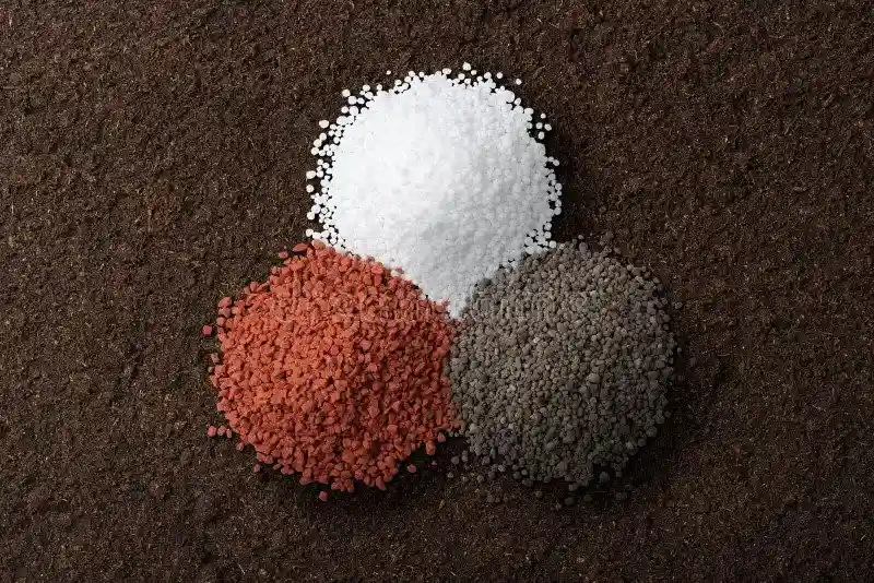 مزایا و معایب کودهای قرمز