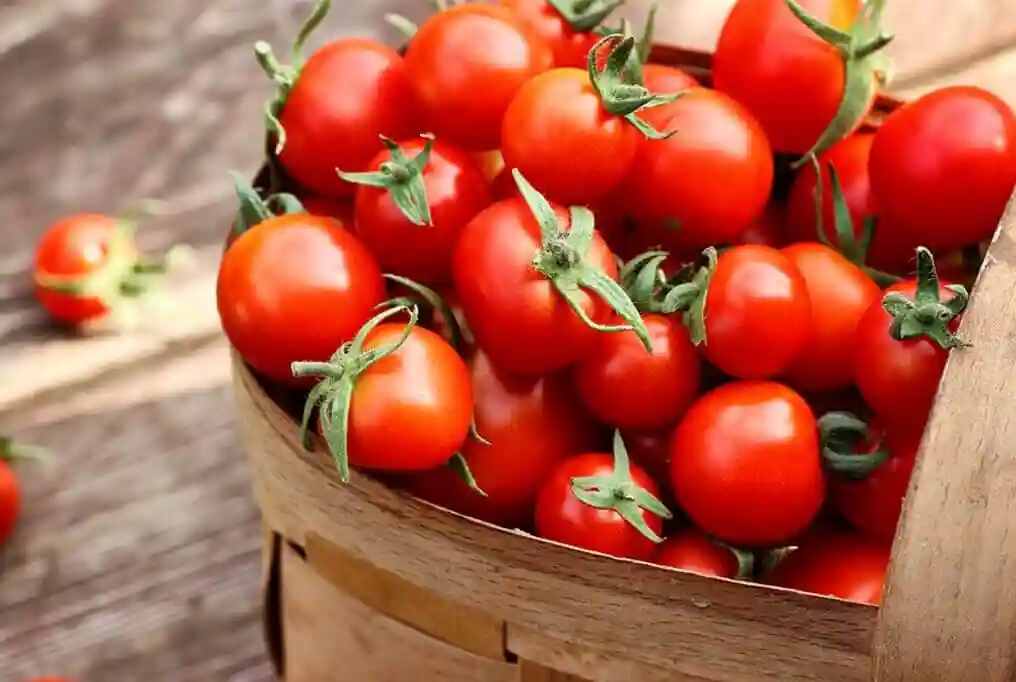 کود برای رنگ گیری میوه