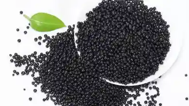 کود حیوانی برای درخت نارنج