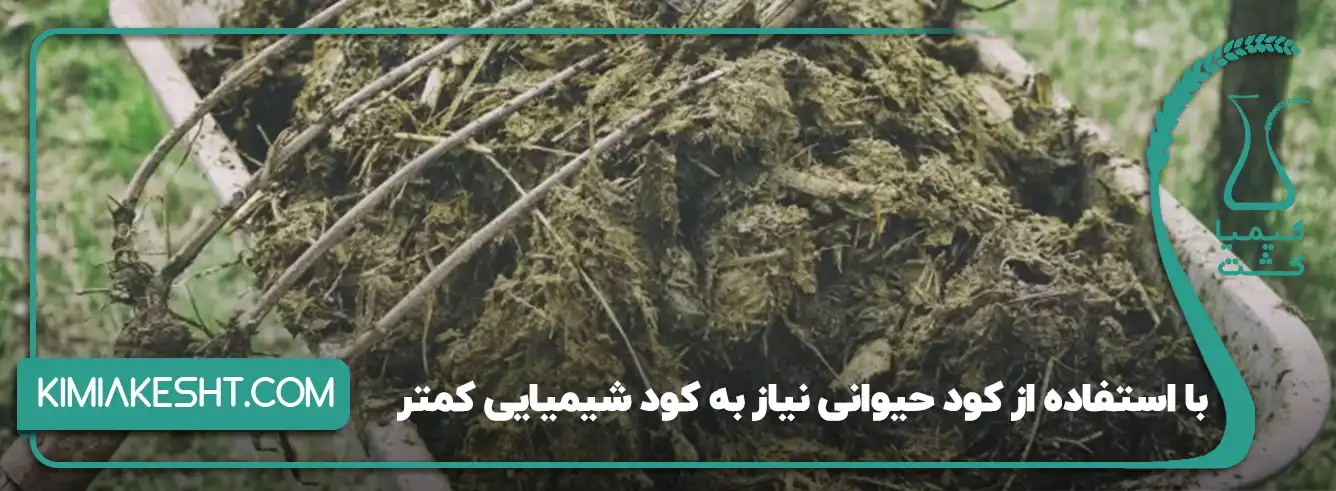 کود حیوانی برای درخت