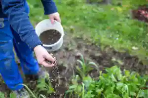 تفاوت ها و مقایسه کود شیمیایی و حیوانی در کشاورزی