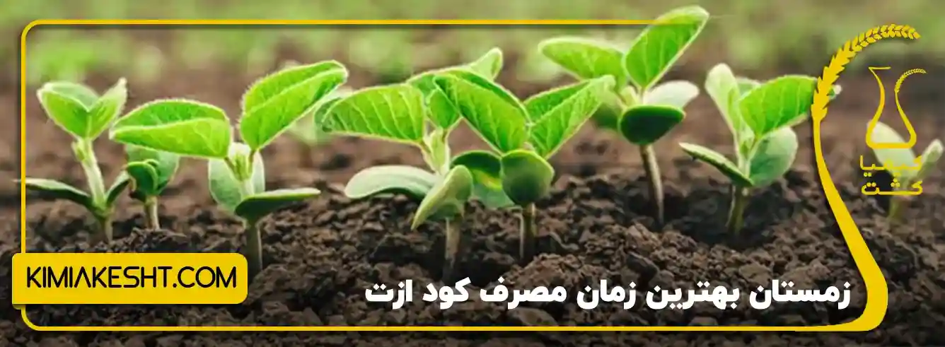 زمان مصرف کود ازت