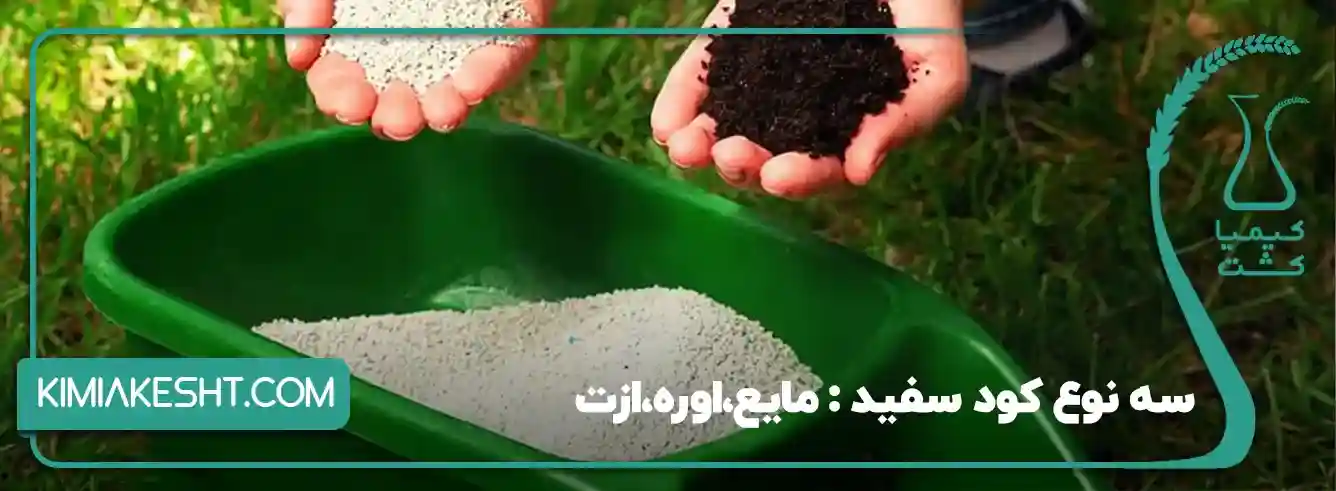 نحوه استفاده از کود سفید - 3 نوع کود سفید همراه