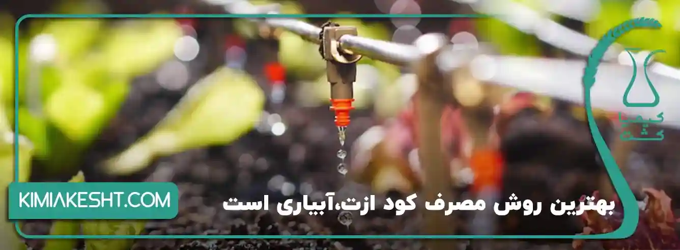 کود ازت چگونه مصرف می شود؟