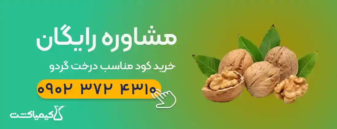 مشاوره خرید خود درخت گردو