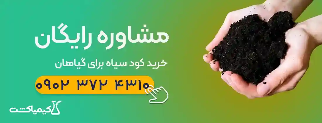 زمان مصرف کود سیاه