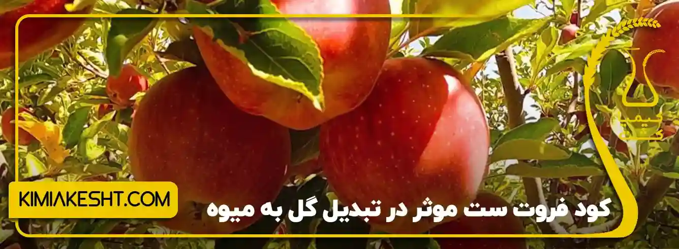 جدول برنامه غذایی درخت سیب - 3️⃣ تورم جوانه‌ها
