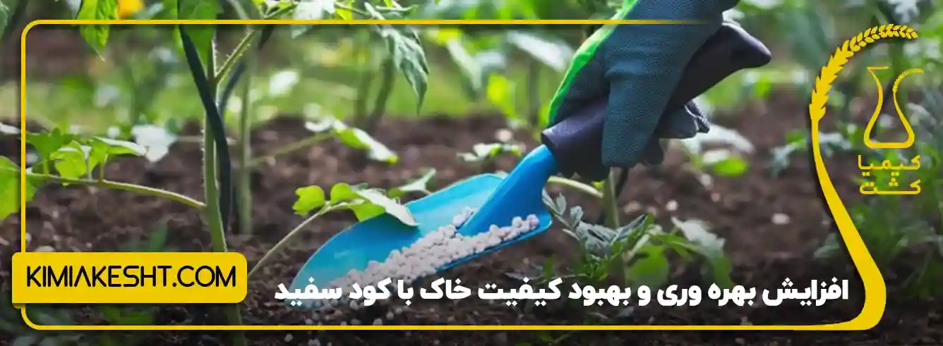 نحوه استفاده از کود سفید - خواص کود سفید