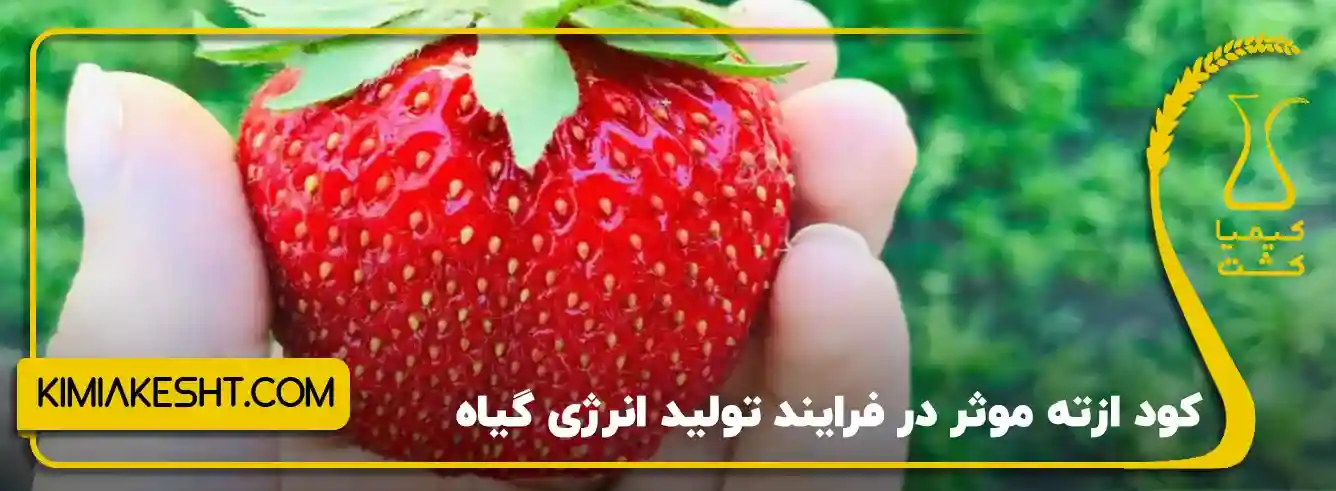 مزیا ومعایب استفاده از کود ازت
