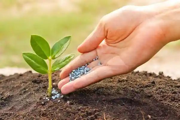 تأثیر کودهای شیمیایی بر آلودگی محیط زیست - تصویر توضیحات 1