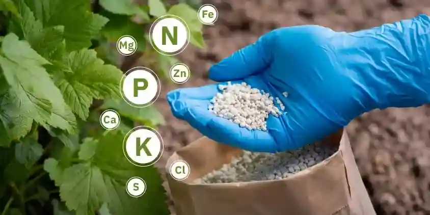 مواد اولیه تولید کود شیمیایی