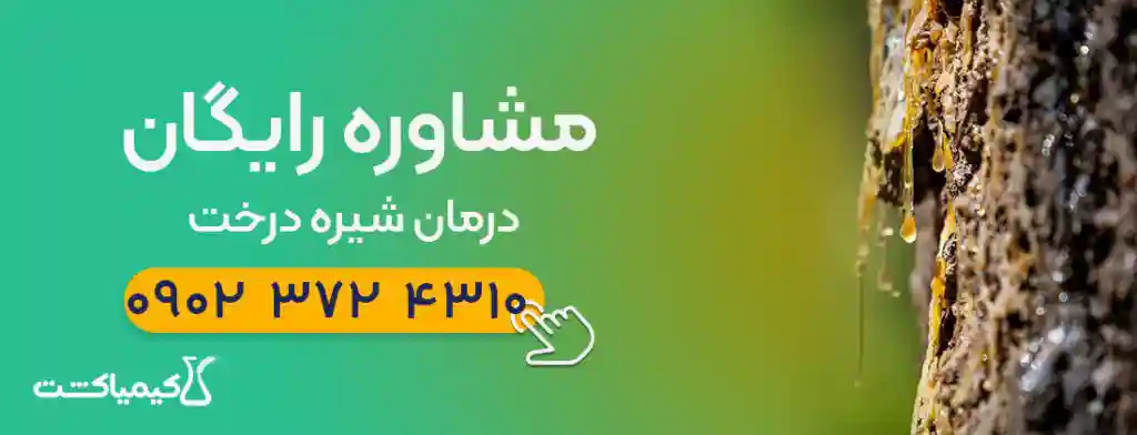 شیره زرد روی تنه درخت کنار دعوت به مشاوره رایگان و شماره موبایل