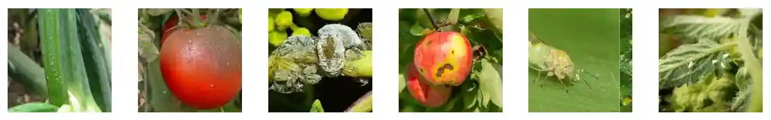 سم حشره کش نويگيتور (موونتو) اگرو بست ترکيه 1 ليتري - میزان و طریقه مصرف سم موونتو اگرو بست