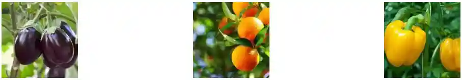کود 40 10 5 پتاس بالا بازارگان کالا 1 لیتری