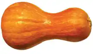 بذر کدو هلوایی