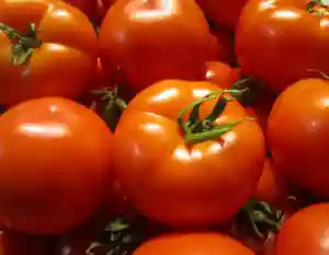 بذر گوجه عنبری