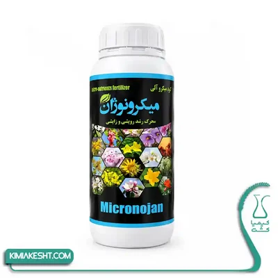 میکرو نوژان
