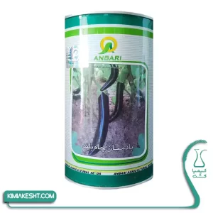 بذر بادمجان چاه بلند عنبری 100 گرمی