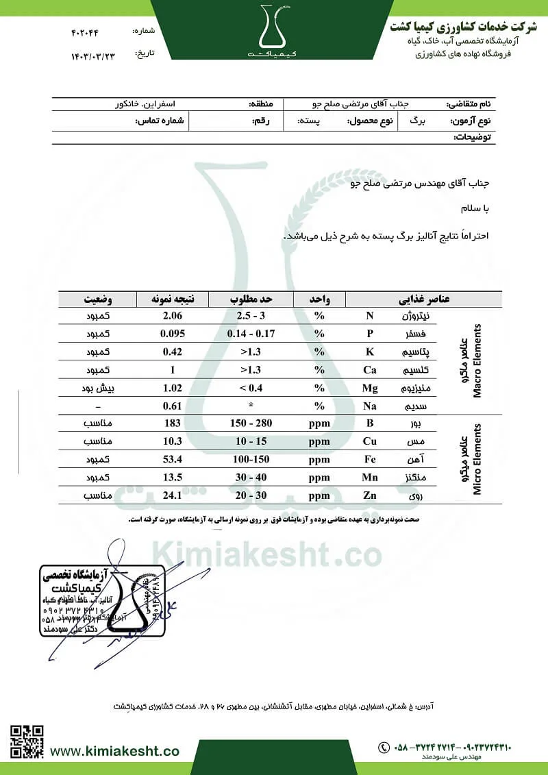 آزمایش برگ