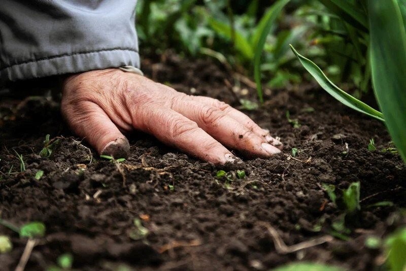 مزایای کود اصلاح کننده خاک