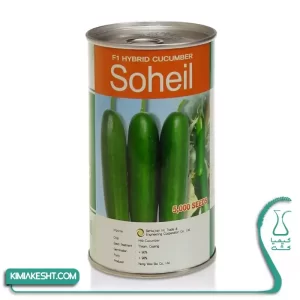 بذر خیار سهیل نانگفو ژاپن 5000 عددی