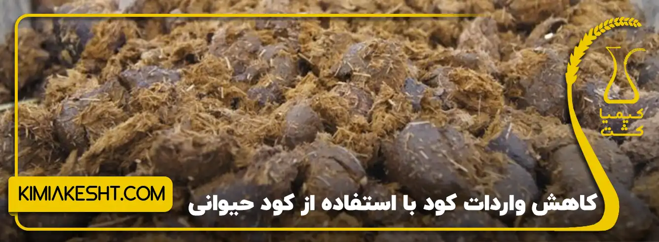 کاهش وابستگی به واردات کودهای شیمیایی