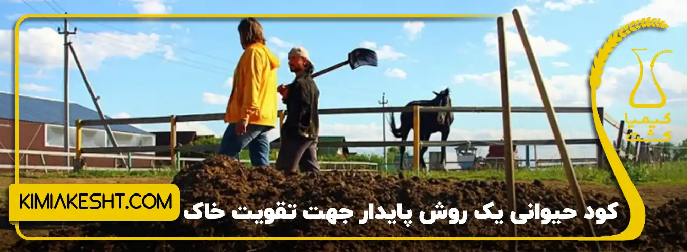 کود حیوانی مناسب تقویت خاک