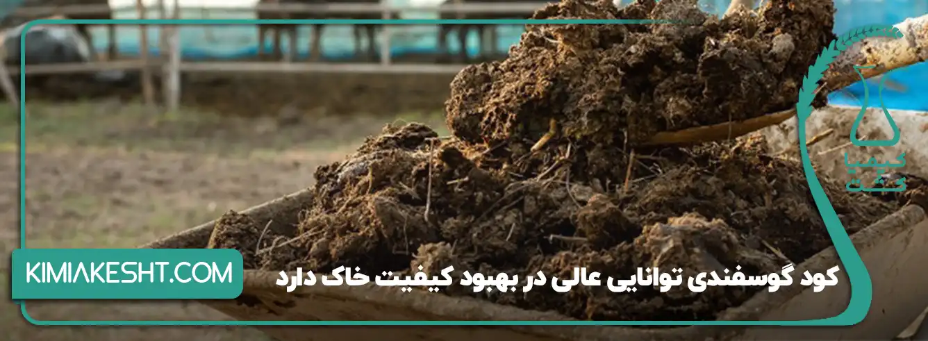 کود گوسفندی