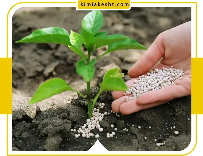کود ازت برای گیاهان