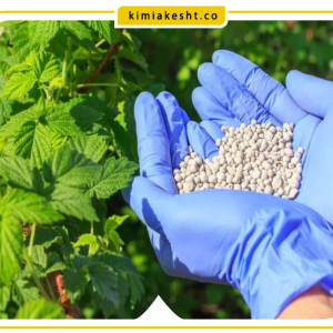 کود دی آمونیوم فسفات