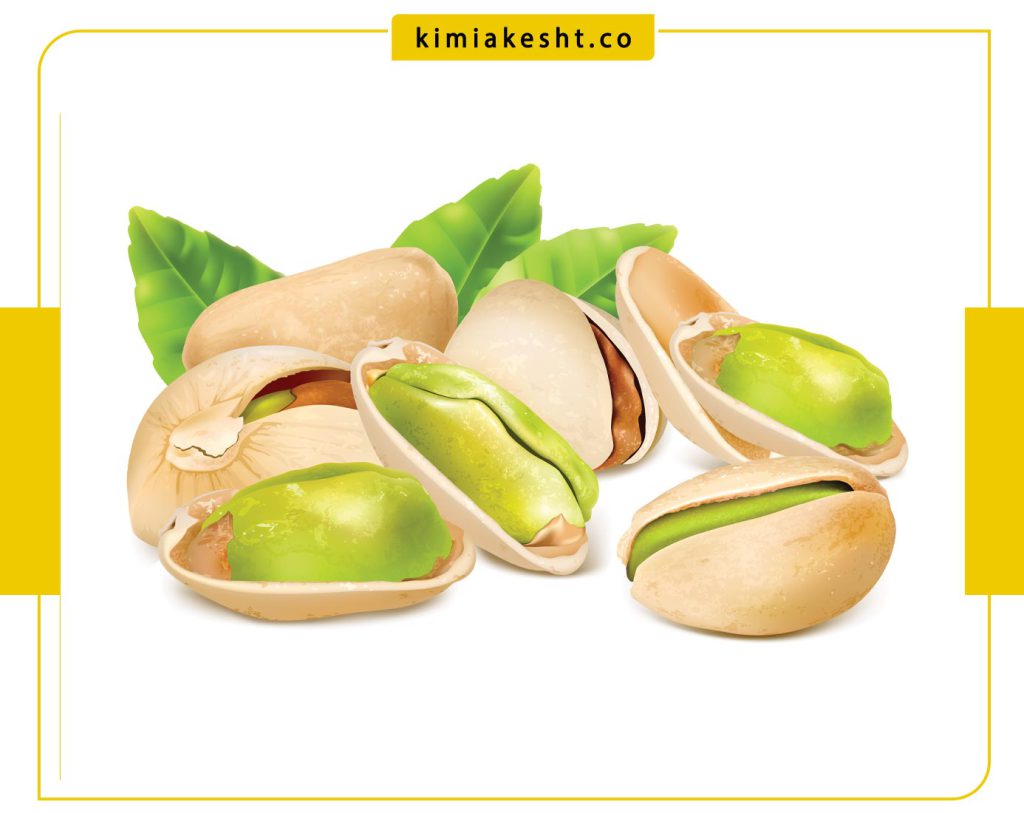 بنر آزمایشگاه--خاک-باغ-پسته