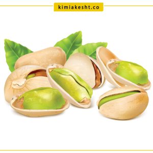 بنر آزمایشگاه--خاک-باغ-پسته
