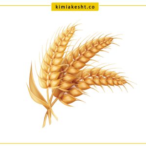 بنر آزمایشگاه--زراعی