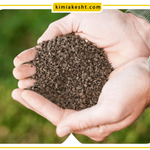 استفاده بهینه از کود آهن برای درختان میوه و باغی