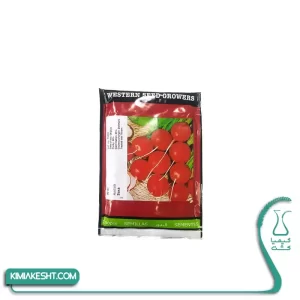 بذر تربچه ساکسا 80 گرمی