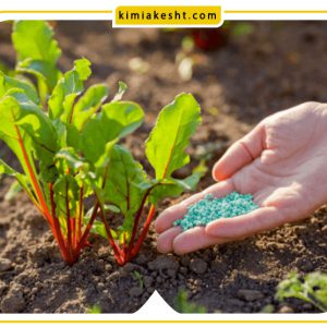 انواع کود برای رشد سبزیجات